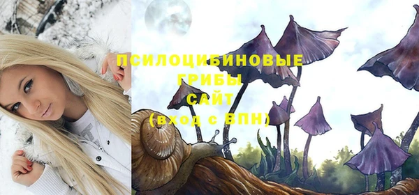 прущая мука Белоозёрский