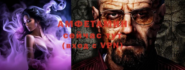 гидра Белокуриха