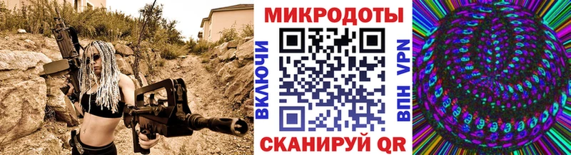 что такое Мончегорск Галлюциногенные грибы мицелий